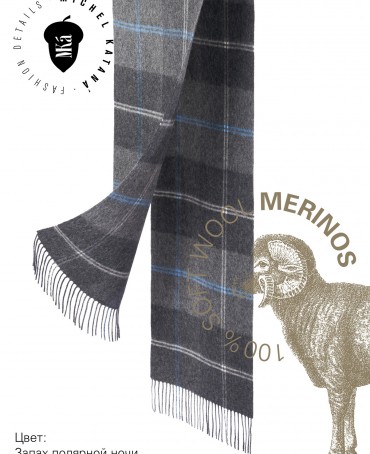 Шарф Унисекс FTQ.W220_72067.08/PROF